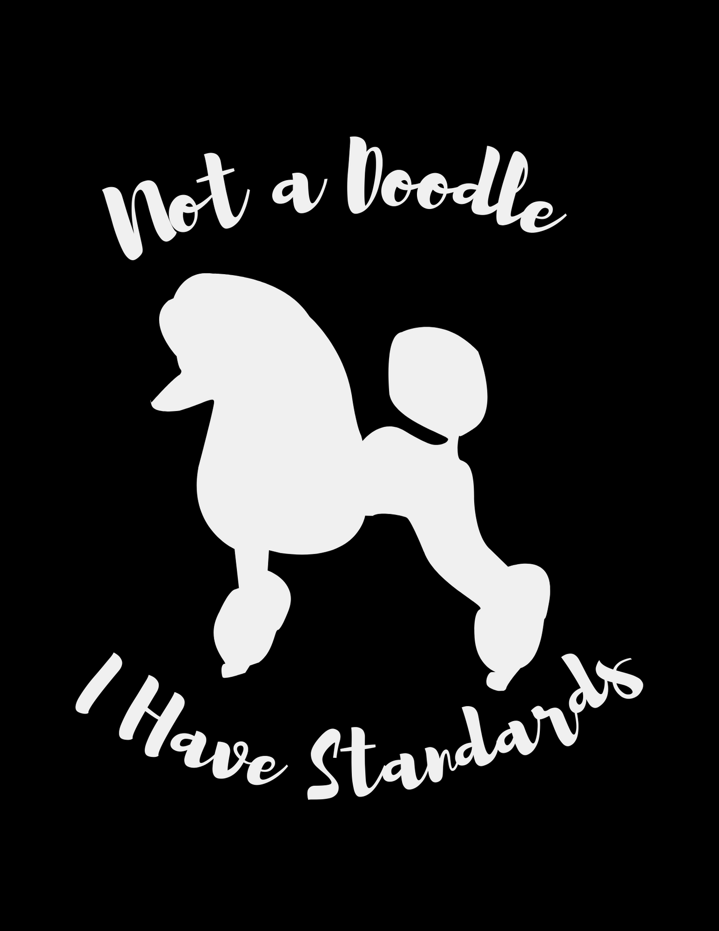 Not a Doodle - I Have Standards tee